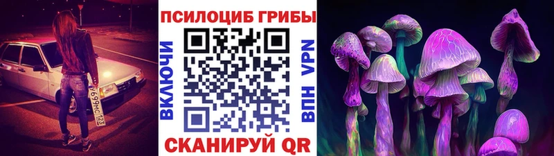 Галлюциногенные грибы Magic Shrooms  Купить где  Мураши 